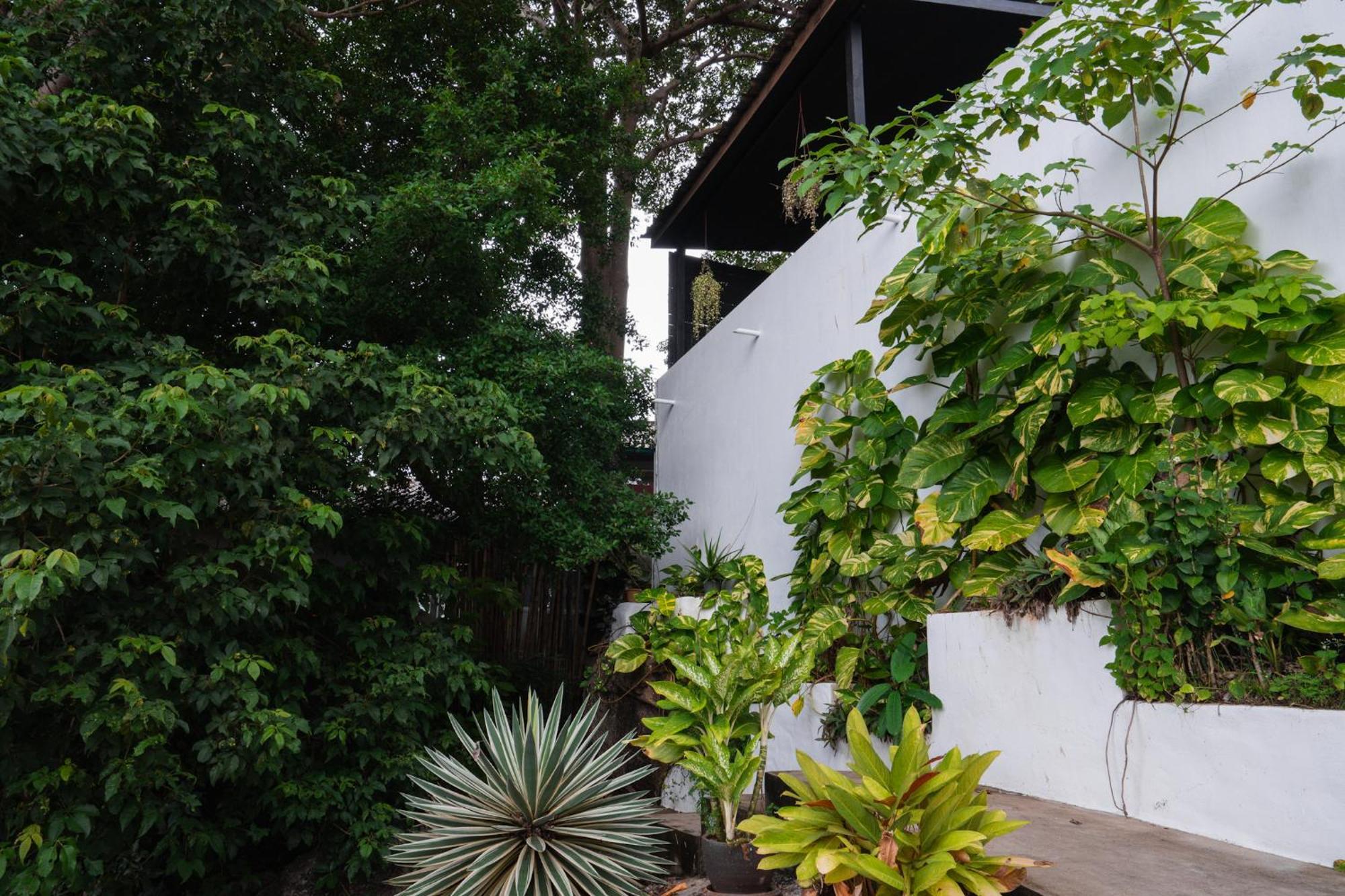 Lunar Villas Koh Tao - Luxury Private Pool Villas 外观 照片
